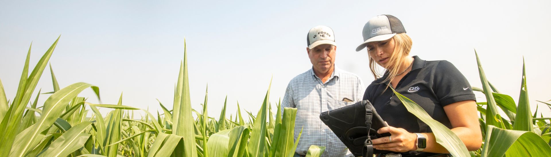 Careers At CHS, we help farmers and rural communities thrive. Every role matters here, and teamwork drives our success. If you’re ready to grow your career and make a real impact, explore what CHS has to offer. Explore careers at CHS Opportunities near you Browns Valley, MN Chokio, MN Clinton, MN Elrosa, MN Fergus Falls, MN Glenwood, MN Herman, MN Hoffman, MN Long Prairie, MN Lowry, MN Milbank, SD Morris, MN Ortonville, MN Park Rapids, MN Sisseton, SD Starbuck, MN Underwood, MN Wilmot, SD CHS is an Equal Opportunity Employer/Veterans/Disability.