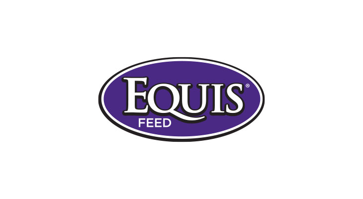 Equis Feed logo