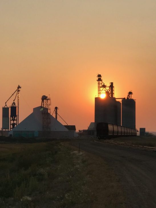 Grain processing facility at sunset